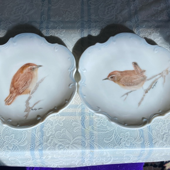 ARTISAN hand painted pair of plates w/wrens to hang or display. $49 - Picture 1 of 8
